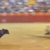 Joven torero portugués muere tras brutal cornada en corrida