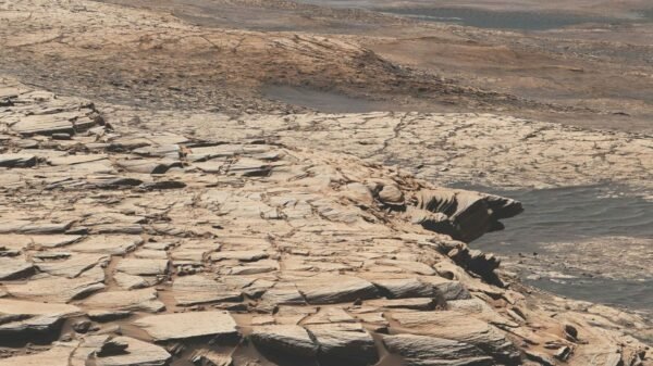 Científicos descubren que Curiosity ya podría identificar vida en Marte