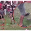 Indignación por niños y adultos golpeando a animales como piñata en festejo en Campeche (VIDEO)