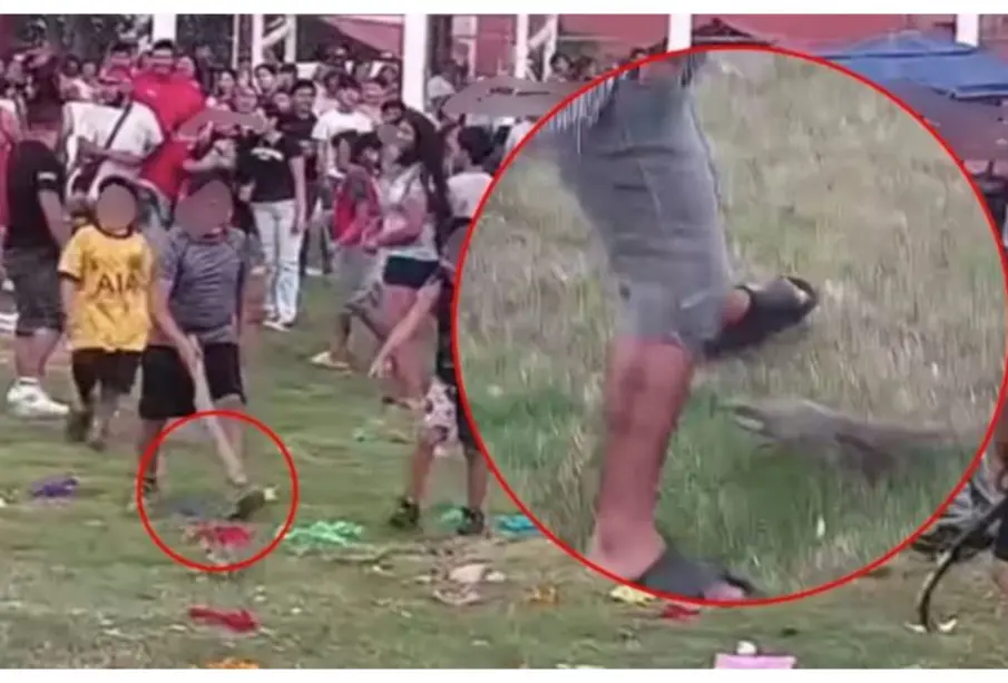 Indignación por niños y adultos golpeando a animales como piñata en festejo en Campeche (VIDEO)