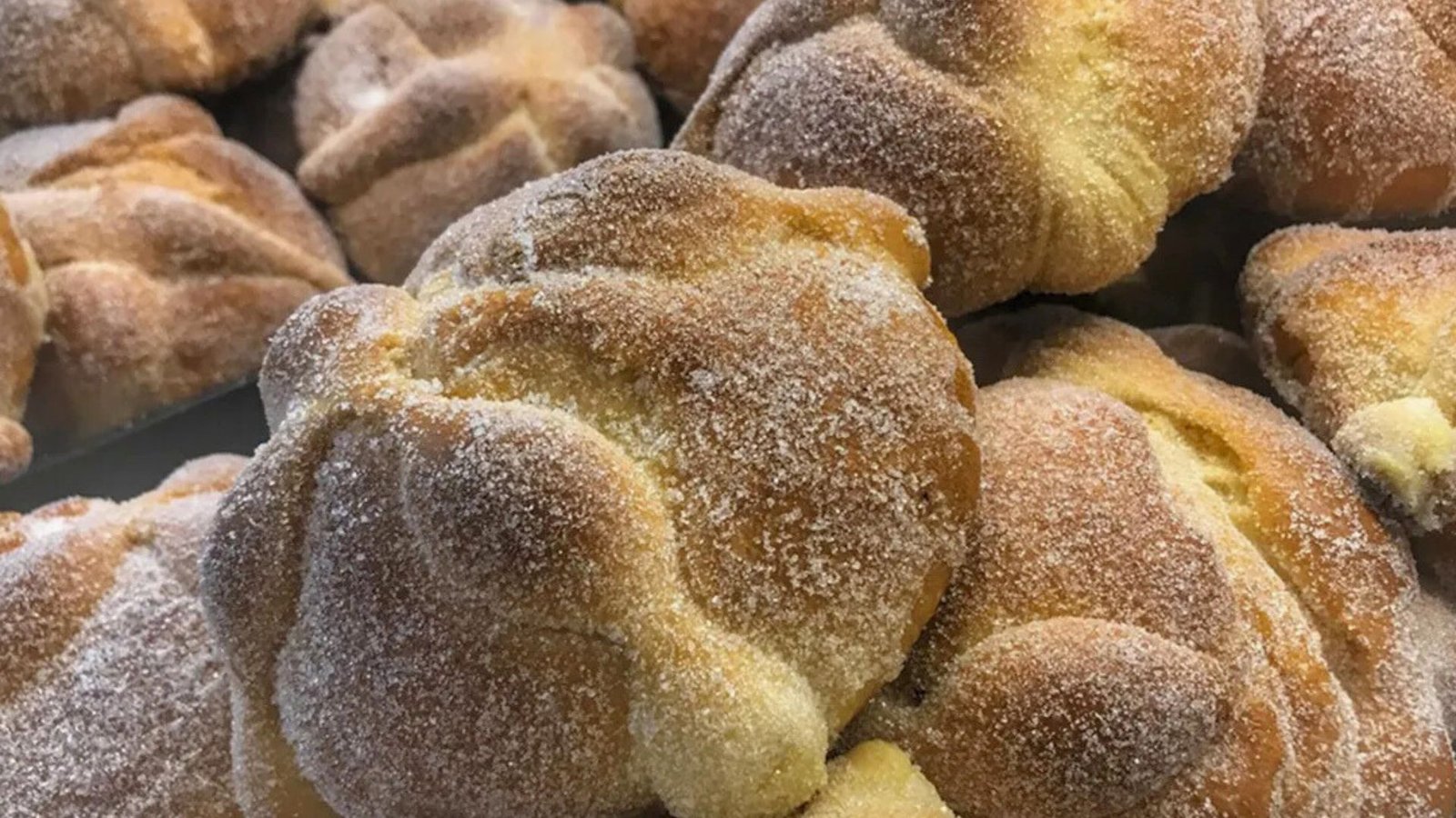 ¿Dónde comer pan de muerto relleno en CDMX? Este lugar en Coyoacán lo tiene todo