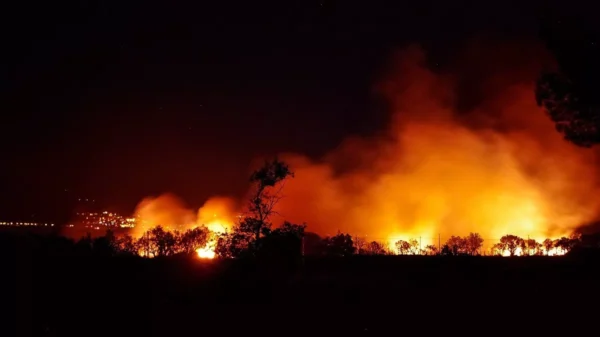 Incendio forestal en Turquía obliga a evacuar a los turistas en varios hoteles