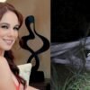 Recuperan el cuerpo de la periodista Débora Estrella tras accidente aéreo en Nuevo León