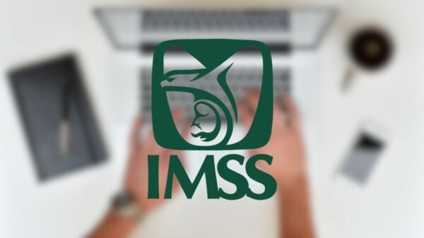 ¿Cómo consultar la constancia de vigencia de derechos del IMSS en línea?