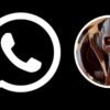 Así puedes activar el modo “General Grievous” en WhatsApp