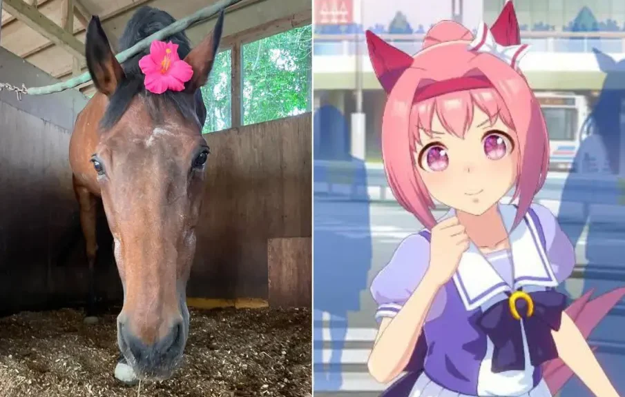 Muere Haru Urara, la yegua japonesa que inspiró a Umamusume a los 29 años