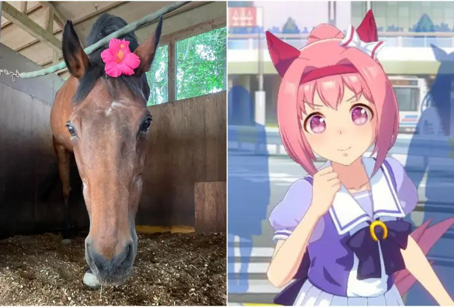 Muere Haru Urara, la yegua japonesa que inspiró a Umamusume a los 29 años
