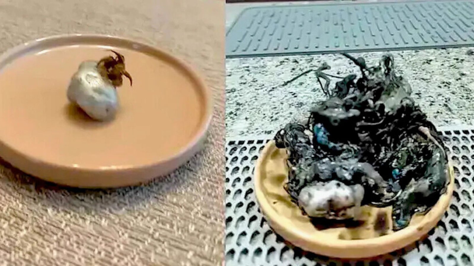 Masa negra con tentáculos sorprende en Panamá; desata teorías alienígenas y comparaciones con Venom