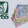 IMSS: ¿Cuáles son lo requisitos y pasos para tramitar la pensión por invalidez?