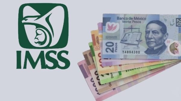 IMSS: ¿Cuáles son lo requisitos y pasos para tramitar la pensión por invalidez?