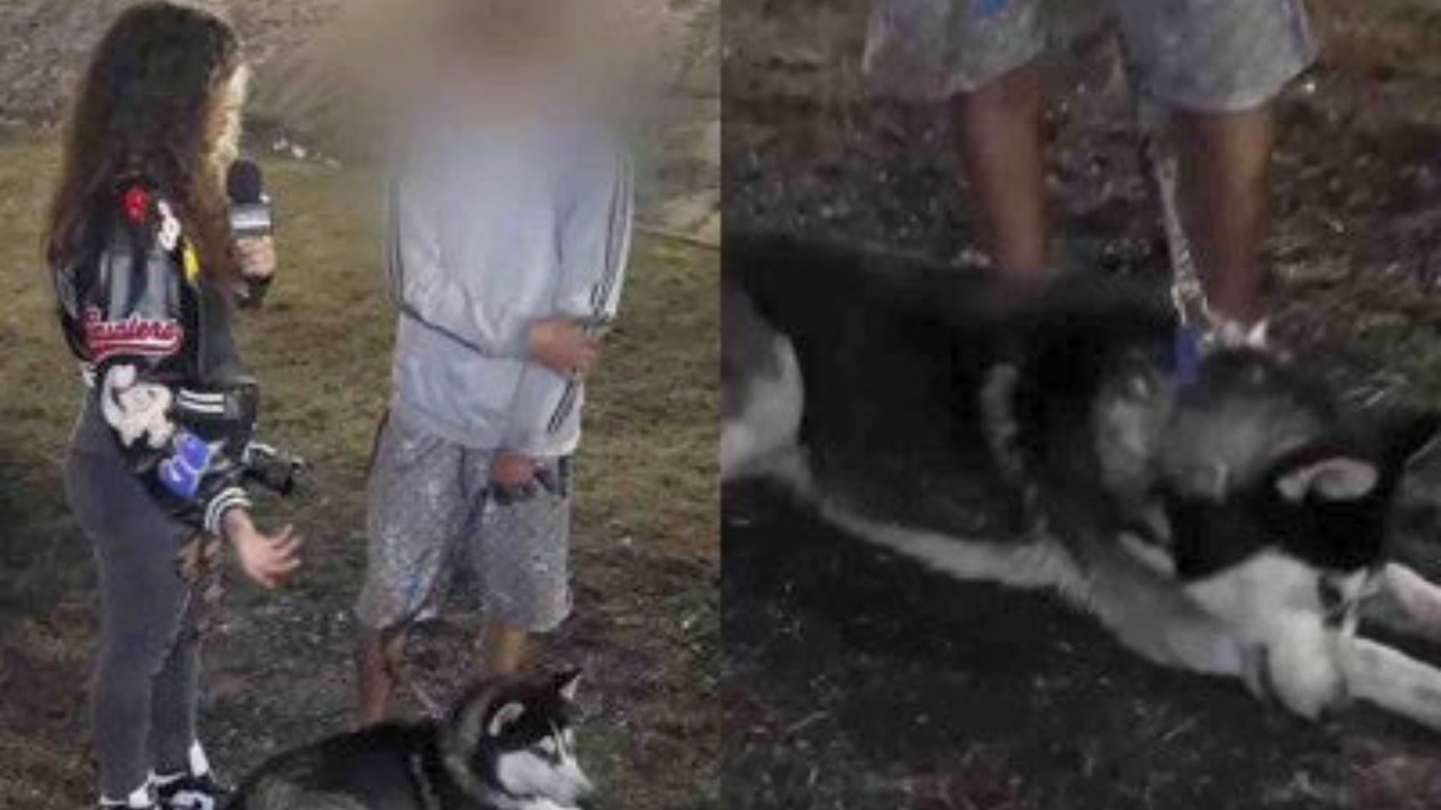 Perrito husky alerta a su dueño y evita tragedia en explosión de Iztapalapa