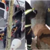 Flamazo en la colonia Portales deja 4 heridos