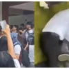 Alumnos atacan a director de bachillerato en Altamira, Tamaulipas, tras acusarlo de presunto acoso sexual| VIDEO
