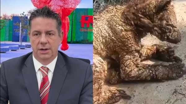 Despiden a coordinador del Zoológico La Pastora por caso de la osa Mina