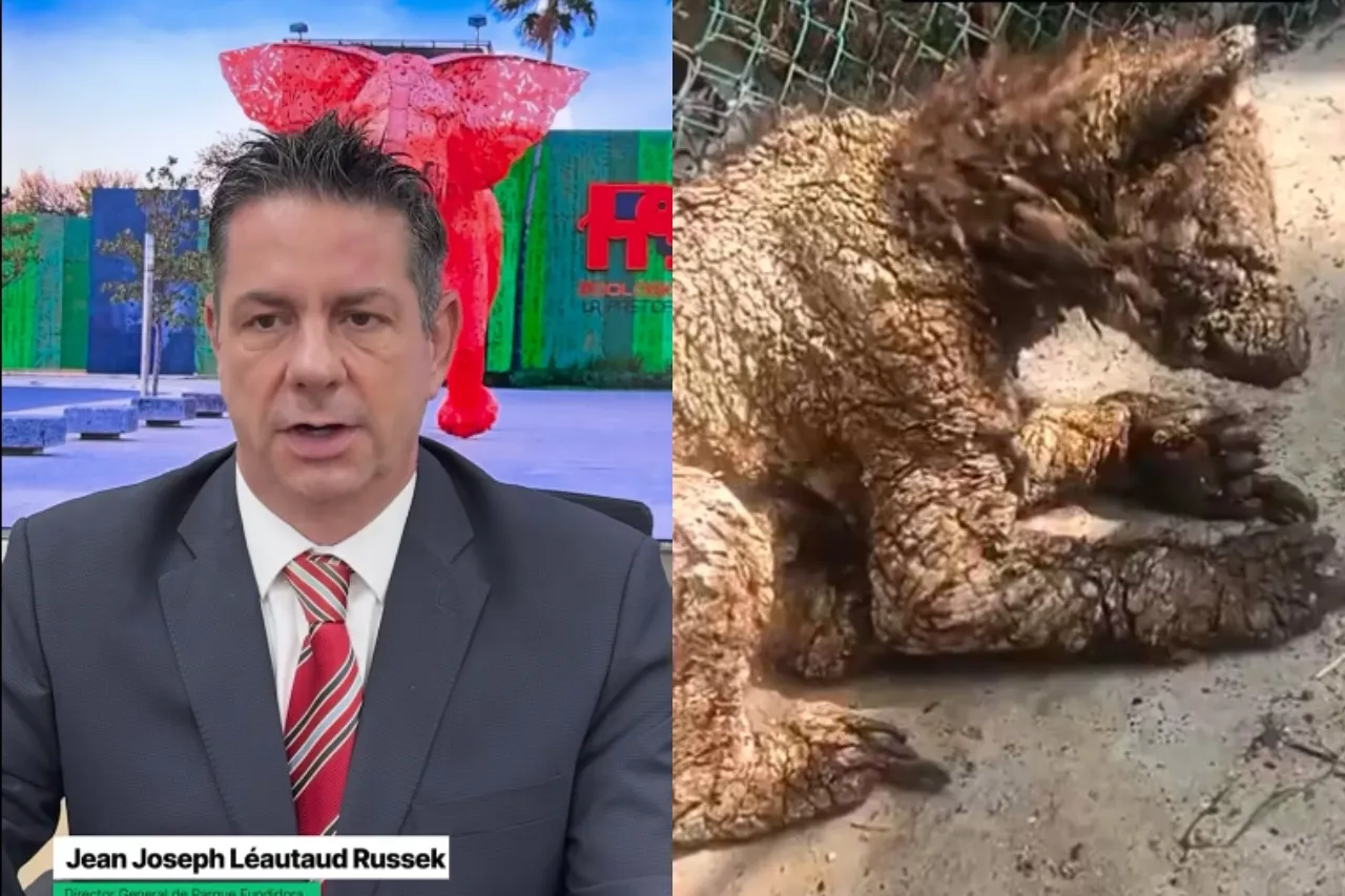 Despiden a coordinador del Zoológico La Pastora por caso de la osa Mina
