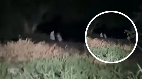 ¿Niñas o demonios? Video muestra supuestas figuras infantiles que podrían ser entidades demoníacas