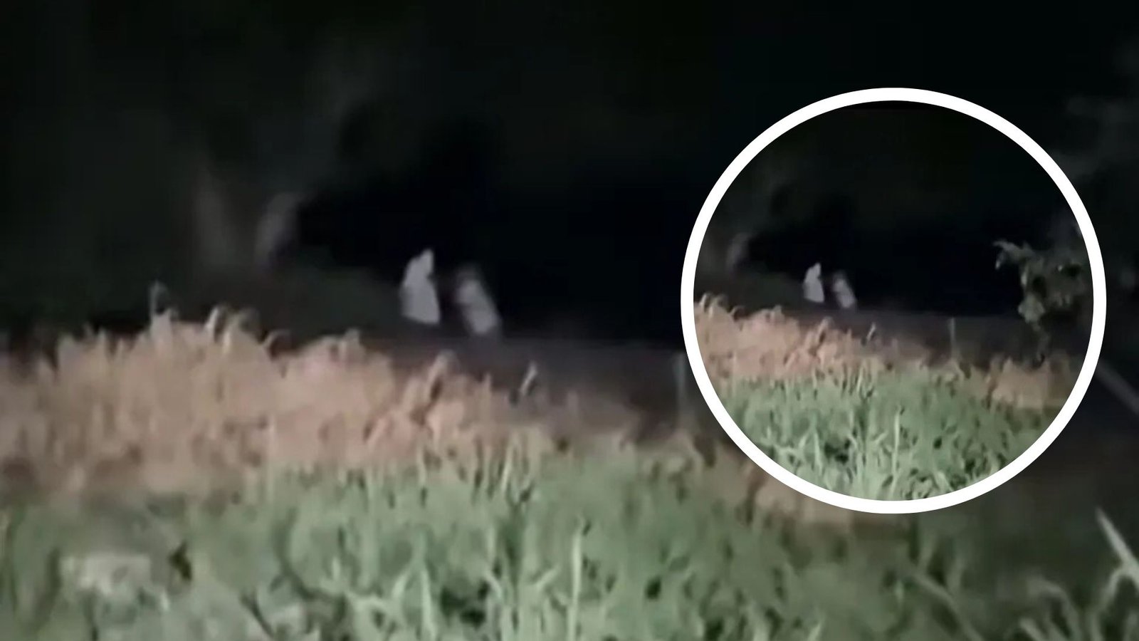 ¿Niñas o demonios? Video muestra supuestas figuras infantiles que podrían ser entidades demoníacas