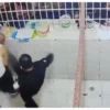 Captan a custodio golpeando a un reo en penal de Huejotzingo, Puebla | VIDEO