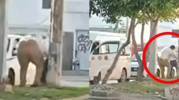 Chofer de combi es captado golpeando a un taxista con discapacidad, en Cancún