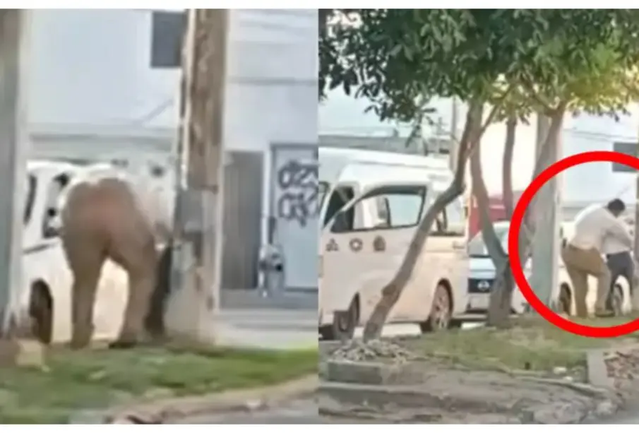 Chofer de combi es captado golpeando a un taxista con discapacidad, en Cancún