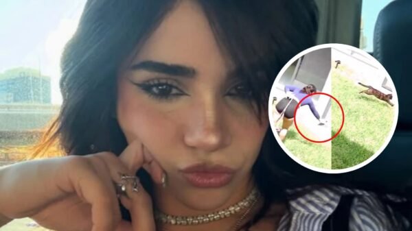 Alana Flores: viralizan video donde supuestamente rocía insecticida a su gato