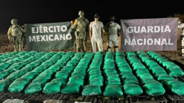 Decomisan más de una tonelada de droga oculta entre cajas de chile en Sonora