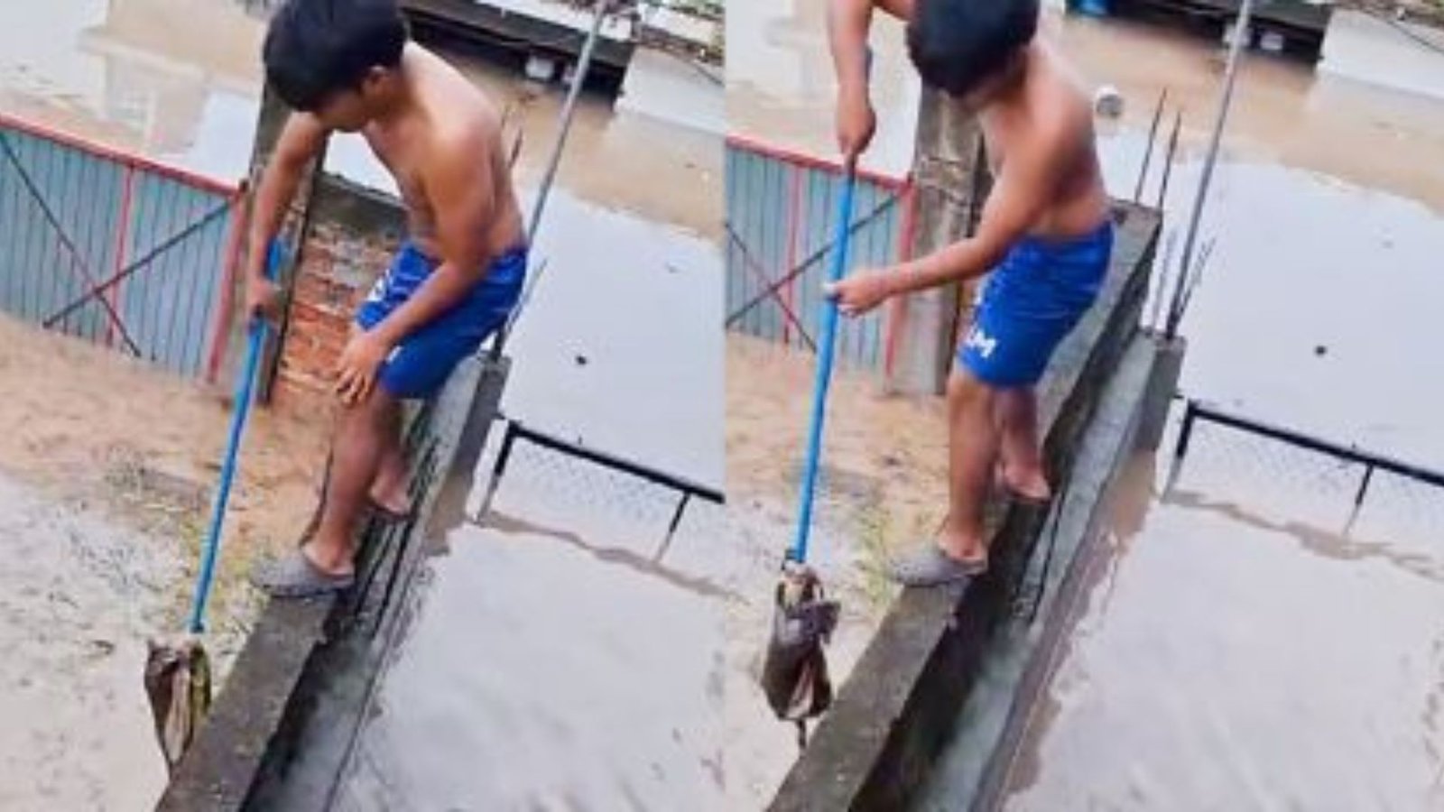 Niño rescata a un gatito de las inundaciones en Veracruz y se vuelve viral