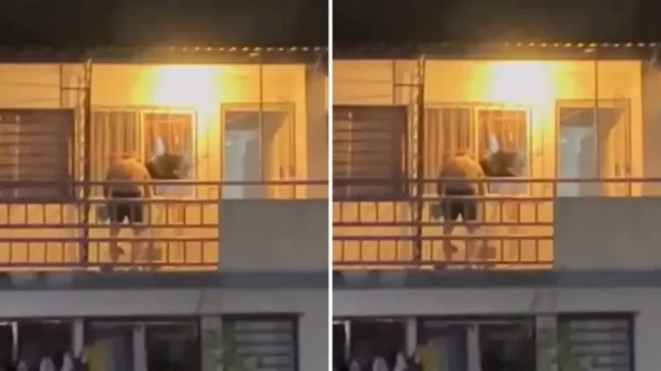 Brutal caso de maltrato animal: Hombre agrede con táser a un perrito en Nacajuca, Tabasco | VIDEO