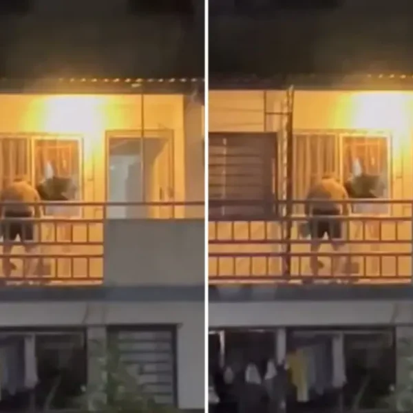 Brutal caso de maltrato animal: Hombre agrede con táser a un perrito en Nacajuca, Tabasco | VIDEO