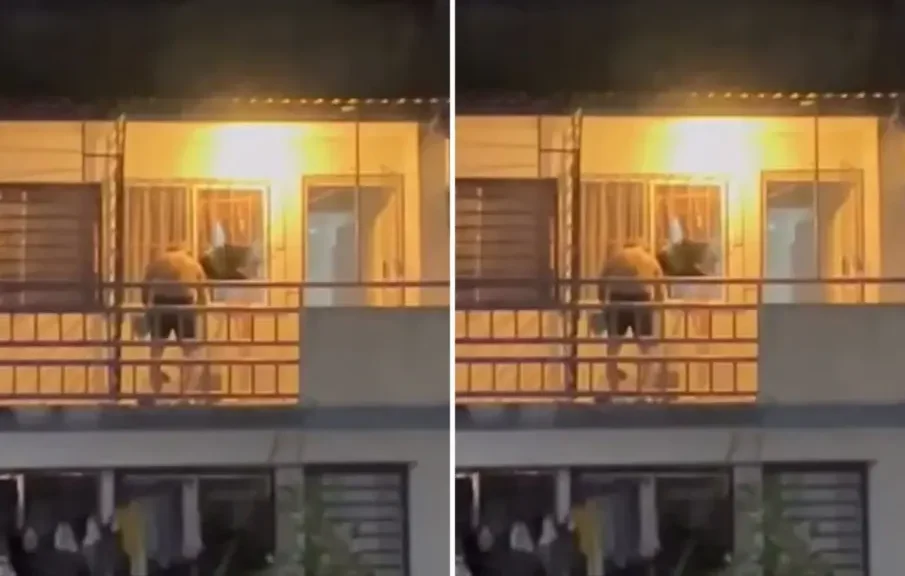 Brutal caso de maltrato animal: Hombre agrede con táser a un perrito en Nacajuca, Tabasco | VIDEO