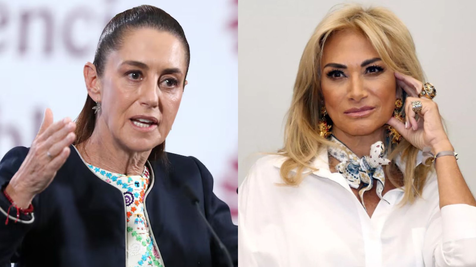 Sheinbaum anuncia revisión de propiedades en Chapultepec tras denuncia contra Adela Micha