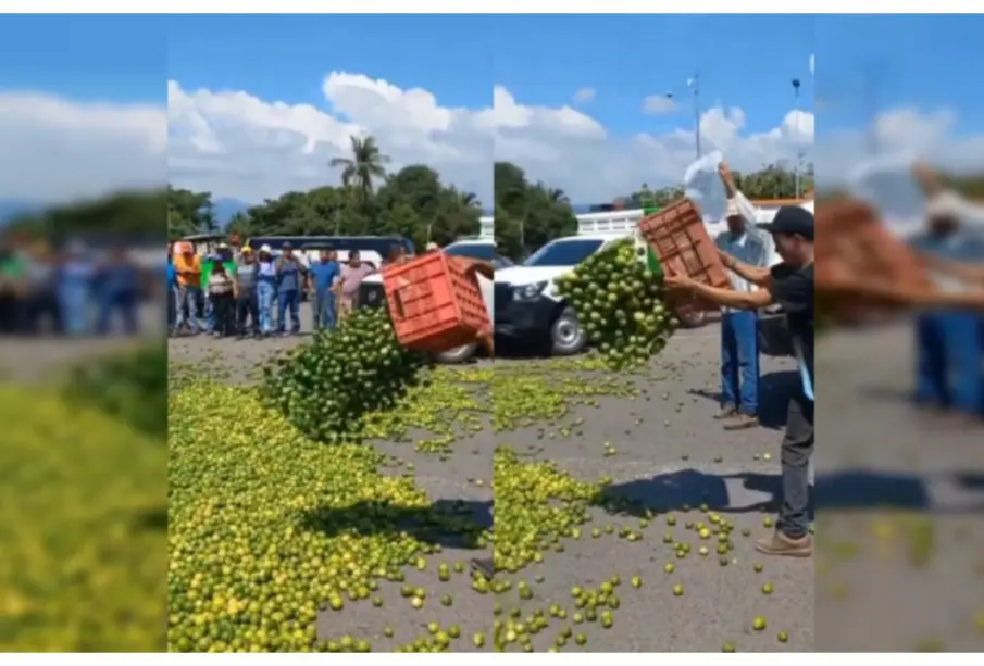 “Si lo quieren regalado, ahí está”: tiran más de 2 toneladas de limones en Apatzingán