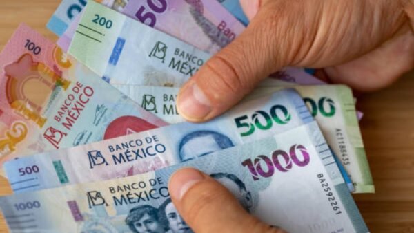 Confirmado. Este será el monto que reciban los damnificados como apoyo del Bienestar