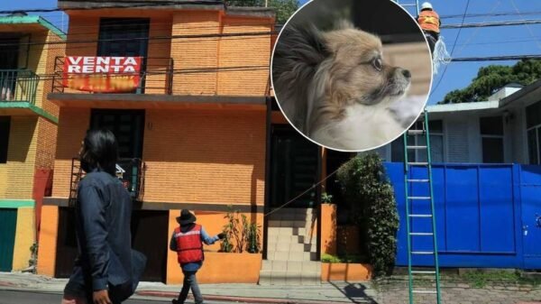 Adiós a las restricciones: desde esta fecha no podrán prohibirte rentar si tienes hijos o mascotas