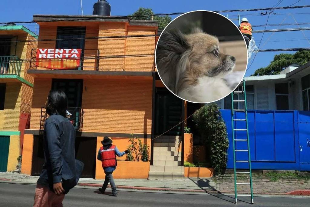 Adiós a las restricciones: desde esta fecha no podrán prohibirte rentar si tienes hijos o mascotas