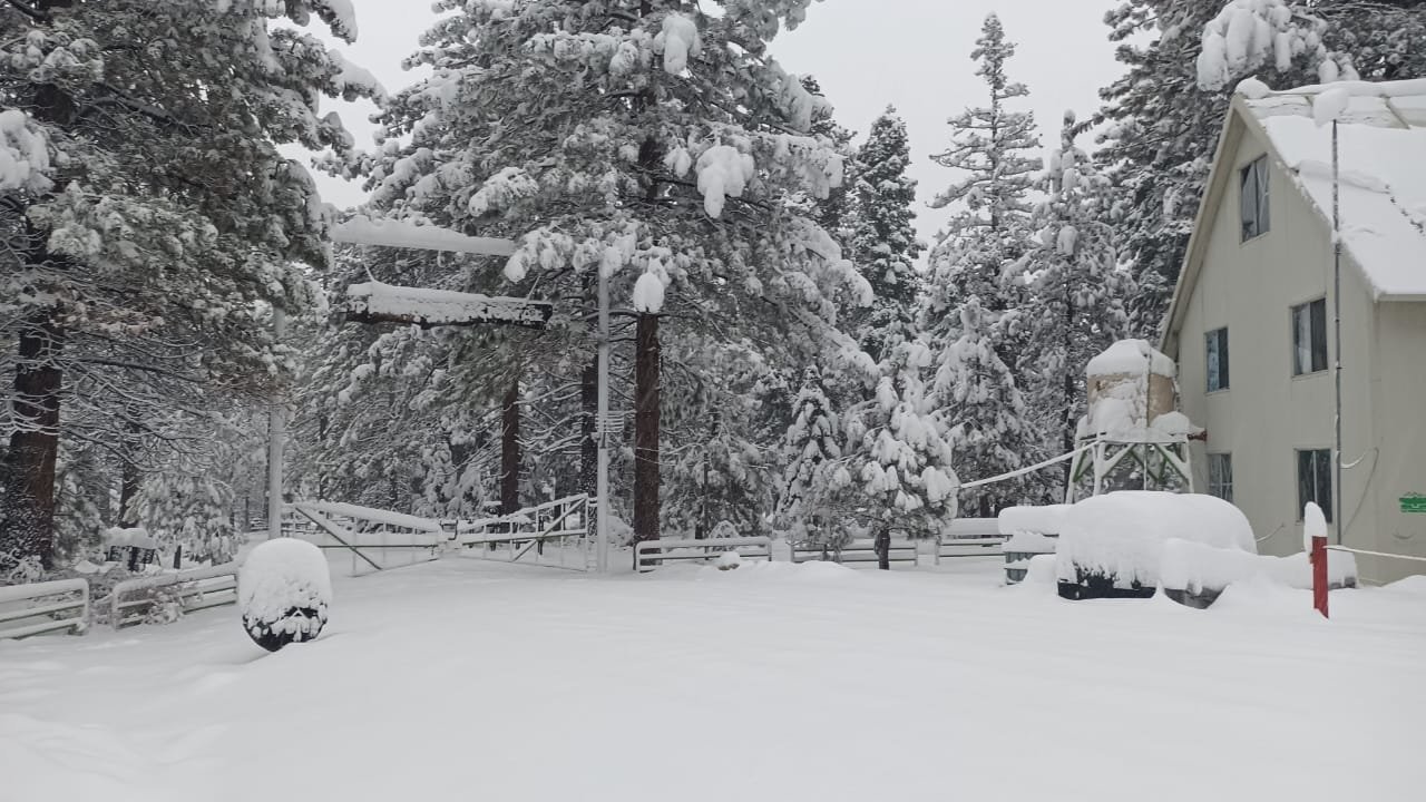 Baja California sufre nevada histórica obliga al cierre de accesos en la sierra