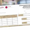 SEP: pasos para descargar la boleta del primer periodo escolar 2025-2026
