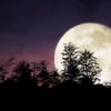 Luna llena de noviembre: ¿Por qué se le conoce también como la Superluna del Castor?