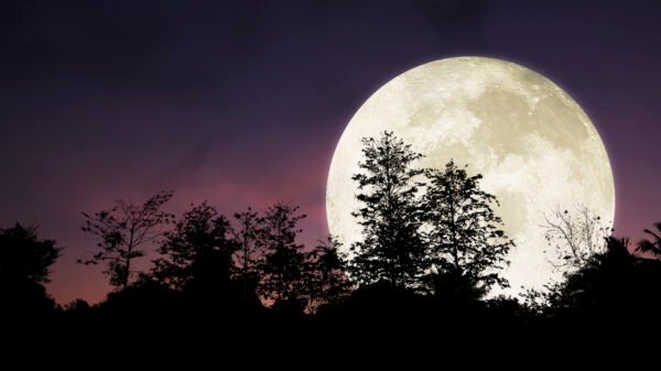Luna llena de noviembre: ¿Por qué se le conoce también como la Superluna del Castor?