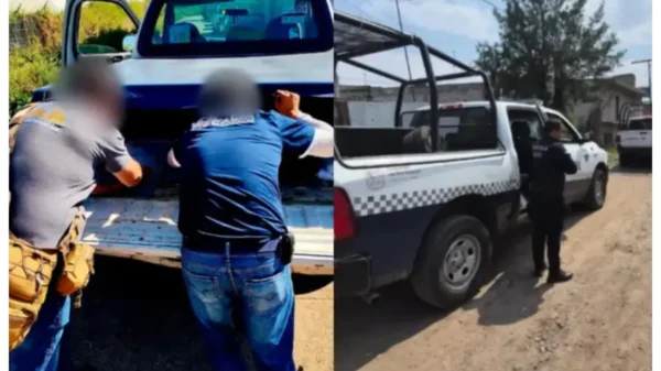 Aguacatero de Michoacán muere al pisar mina explosiva en su huerta