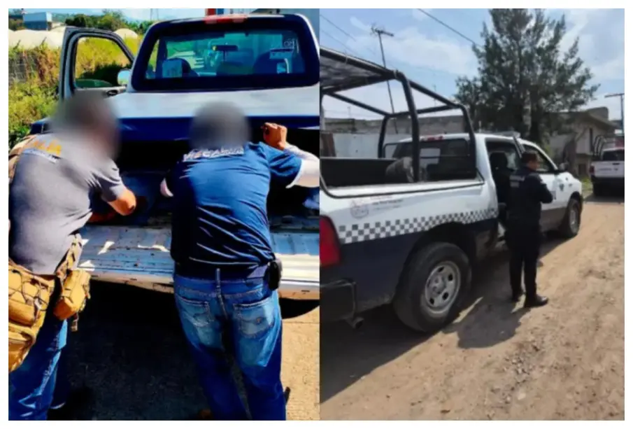 Aguacatero de Michoacán muere al pisar mina explosiva en su huerta