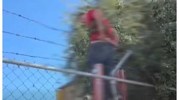 Hombre que presuntamente buscaba robar queda enredado en púas en Nuevo León; fue rescatado y detenido