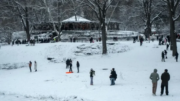 Vuelos Estados Unidos