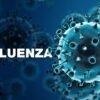 Confirman primer caso de influenza A H3N2 subclado K en México