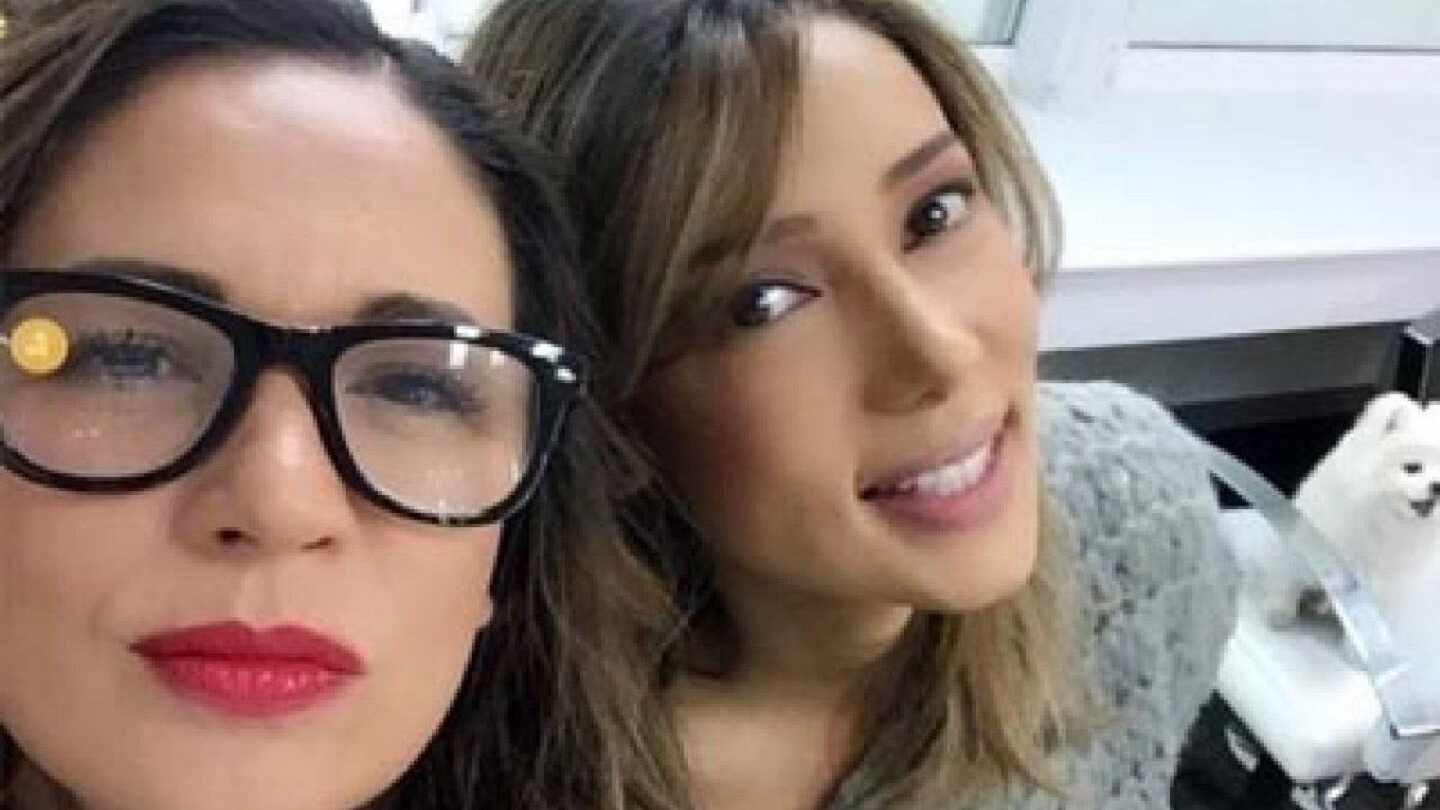 Acusan a la hermana de Yolanda Andrade de aislarla y controlar su dinero