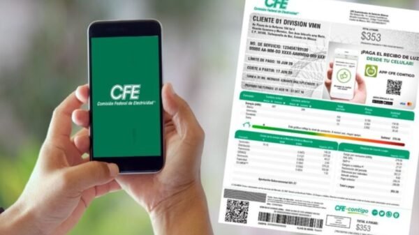 CFE: ¿Cuánto tarda en efectuarse el cambio de titular en el recibo de luz?
