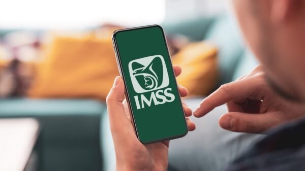 IMSS: ¿Qué es el Tarjetón Digital y qué trámites permite realizar?