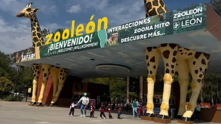 Cierran Zoológico de León por obras de seguridad