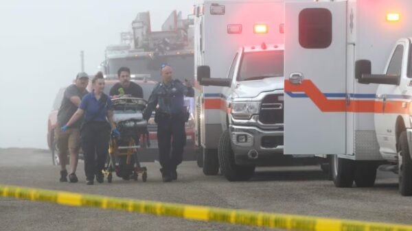 Semar concluye búsqueda tras accidente aéreo: seis fallecidos y dos sobrevivientes