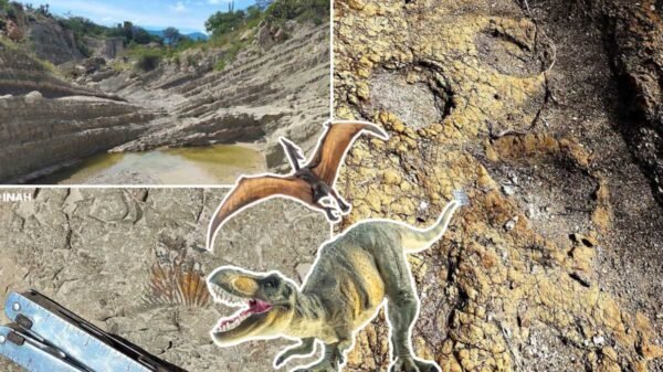 INAH confirma huellas de dinosaurios de 120 millones de años en reserva de Puebla